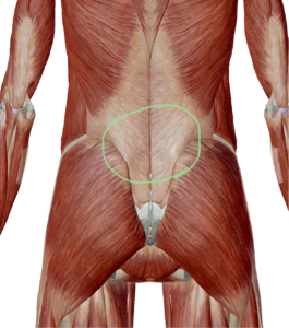 仙腸関節　横浜
